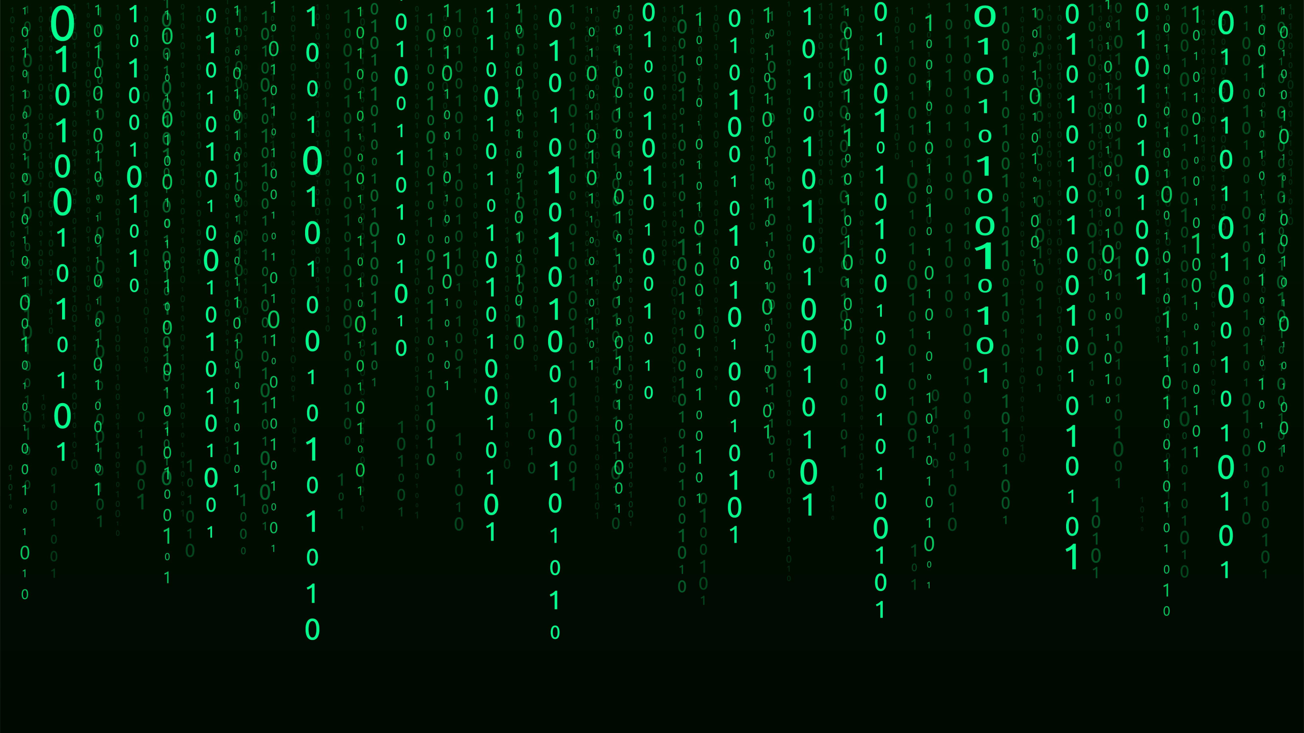 Why Data Culture Is Baltimore’s Next Competitive Advantage